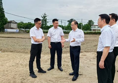 胡云赴眉山调研耕地；だ煤透叱叨扰┨锝ㄉ韫ぷ